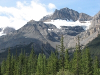 Along the Icefields Parkway